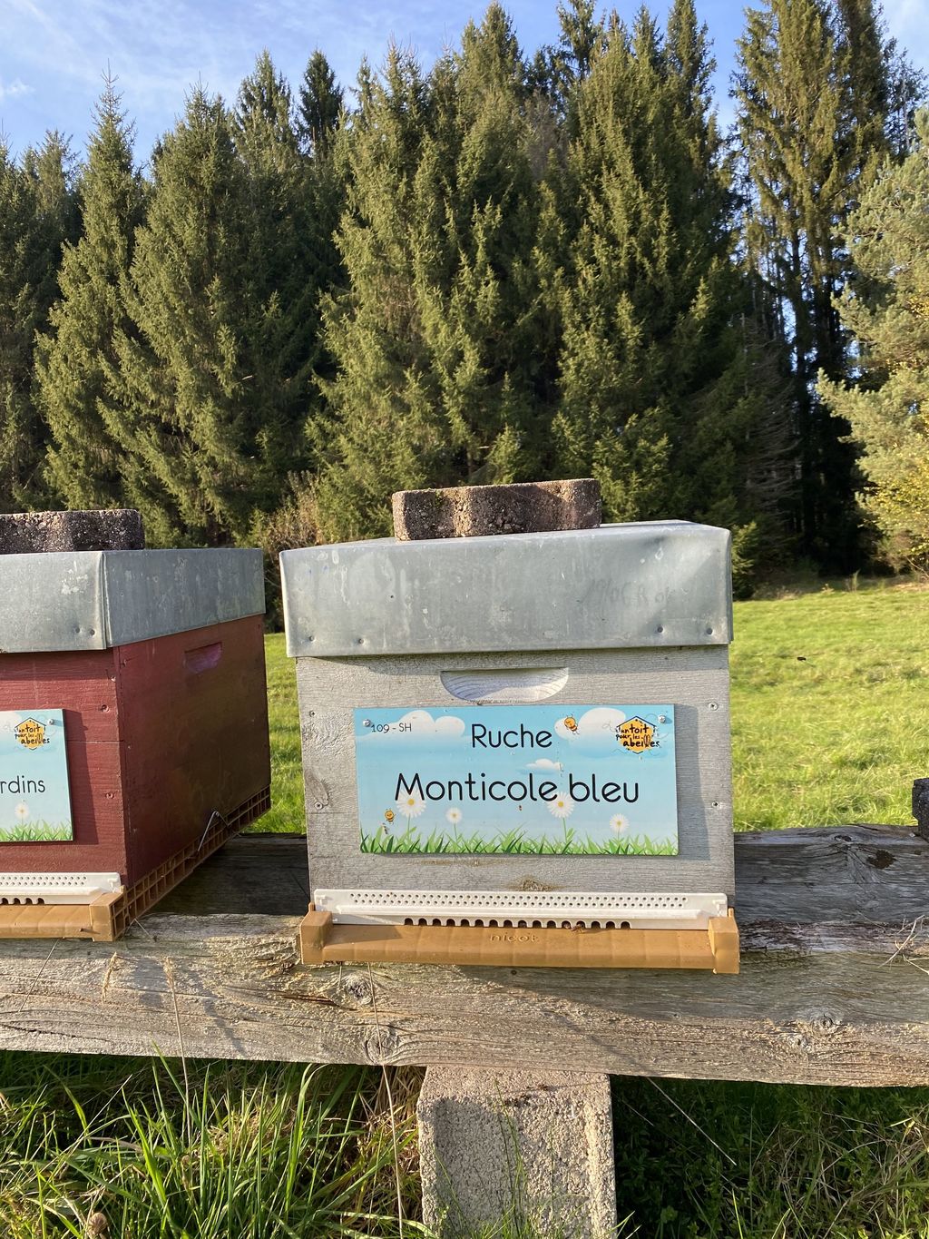 La ruche Monticole bleu