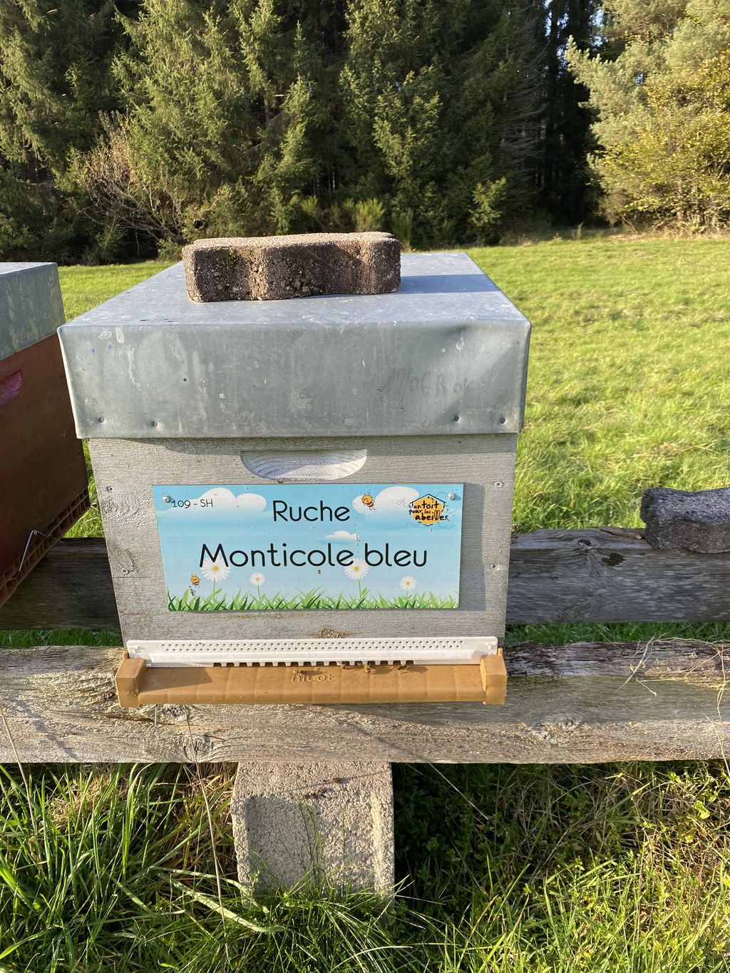 La ruche Monticole bleu