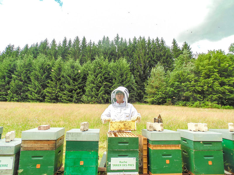 La ruche Tarier des prés