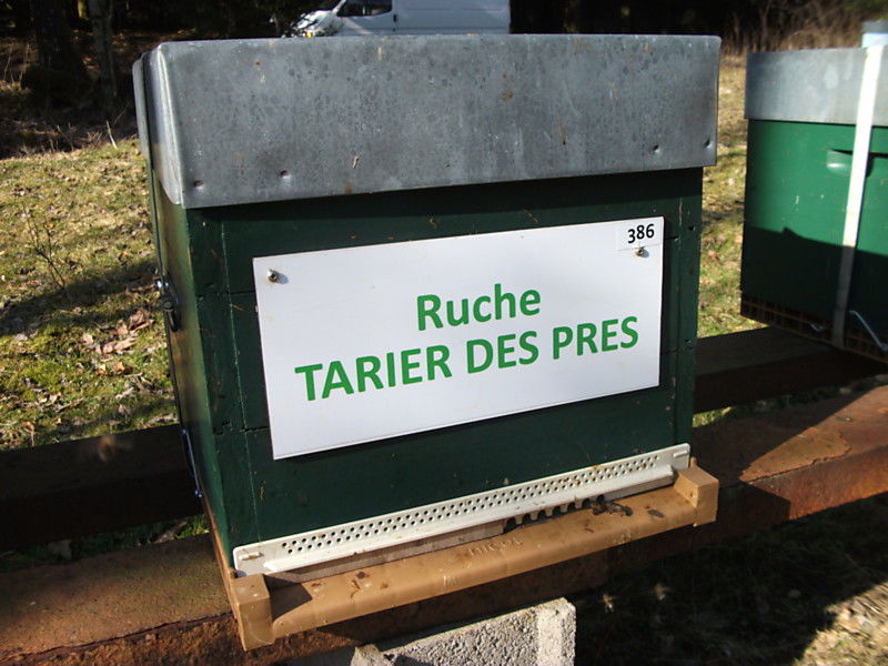 La ruche Tarier des prés