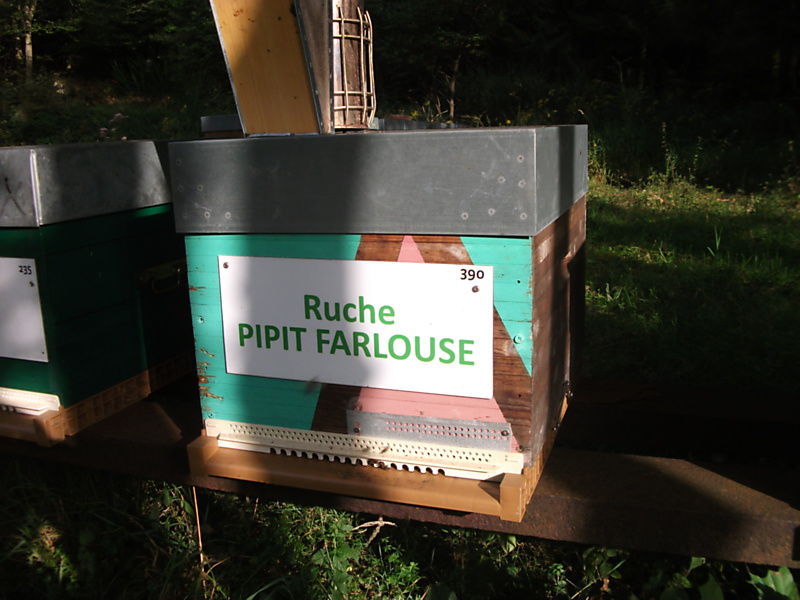 La ruche