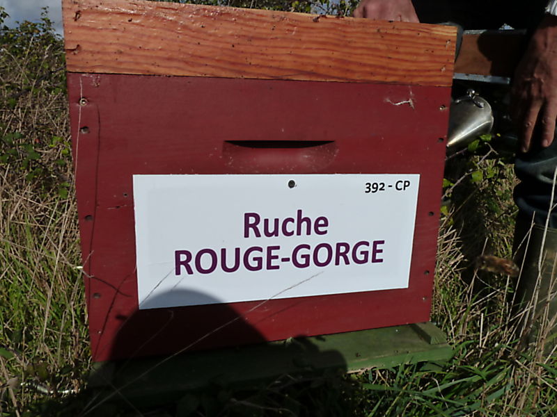 La ruche