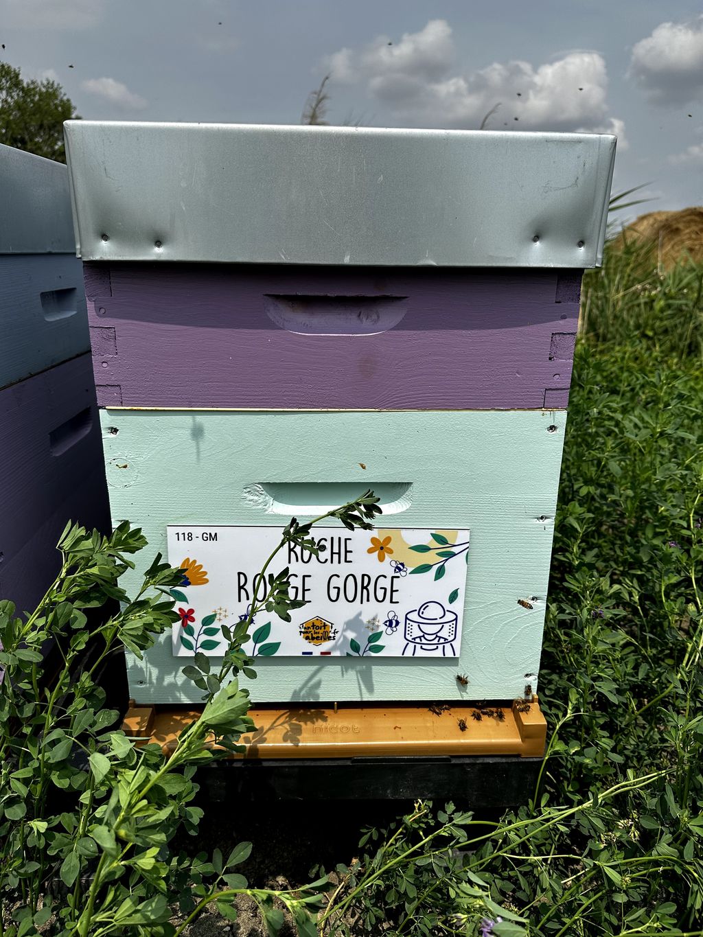 La ruche Rouge gorge