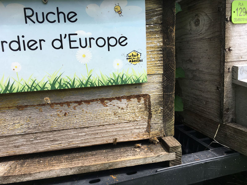La ruche Verdier d europe
