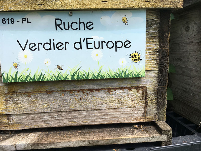 La ruche Verdier d europe