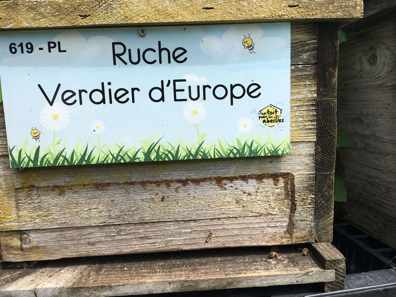 La ruche Verdier d europe