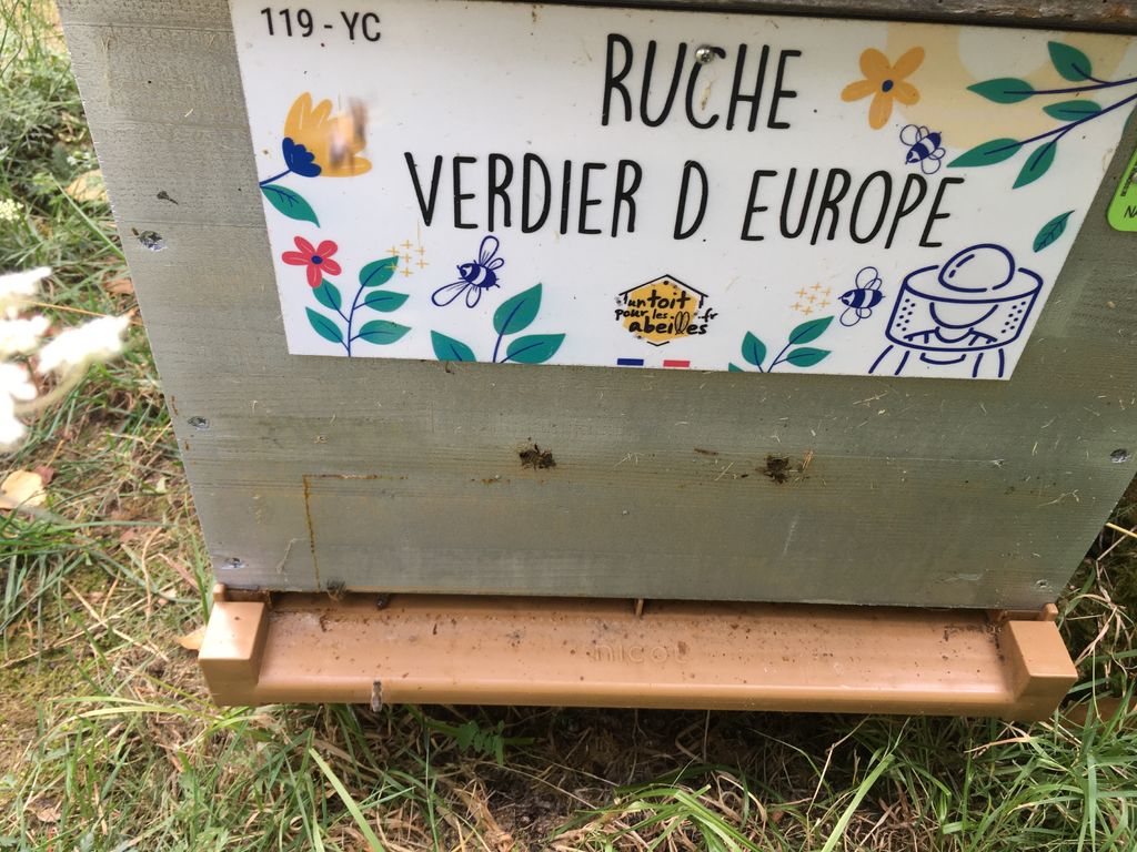 La ruche Verdier d europe