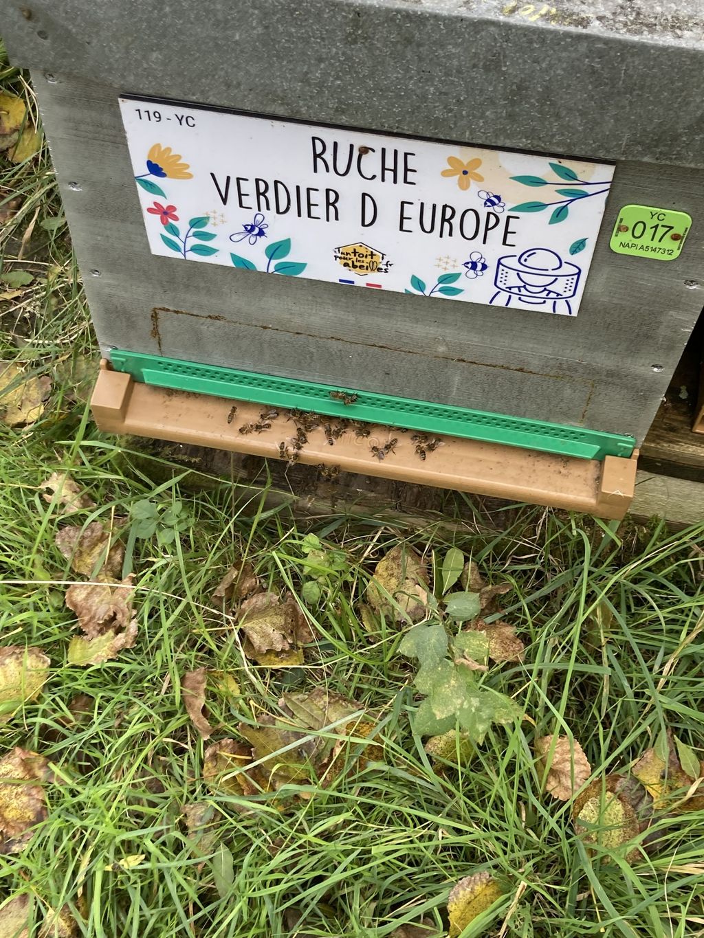 La ruche Verdier d europe