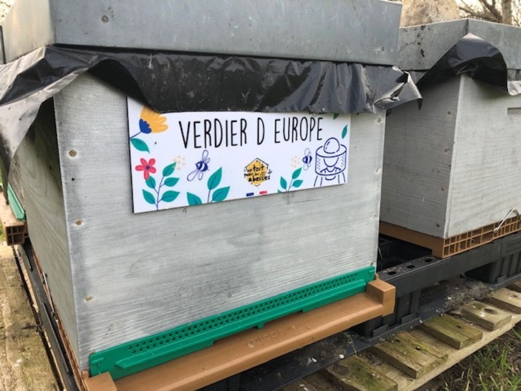 La ruche Verdier d europe