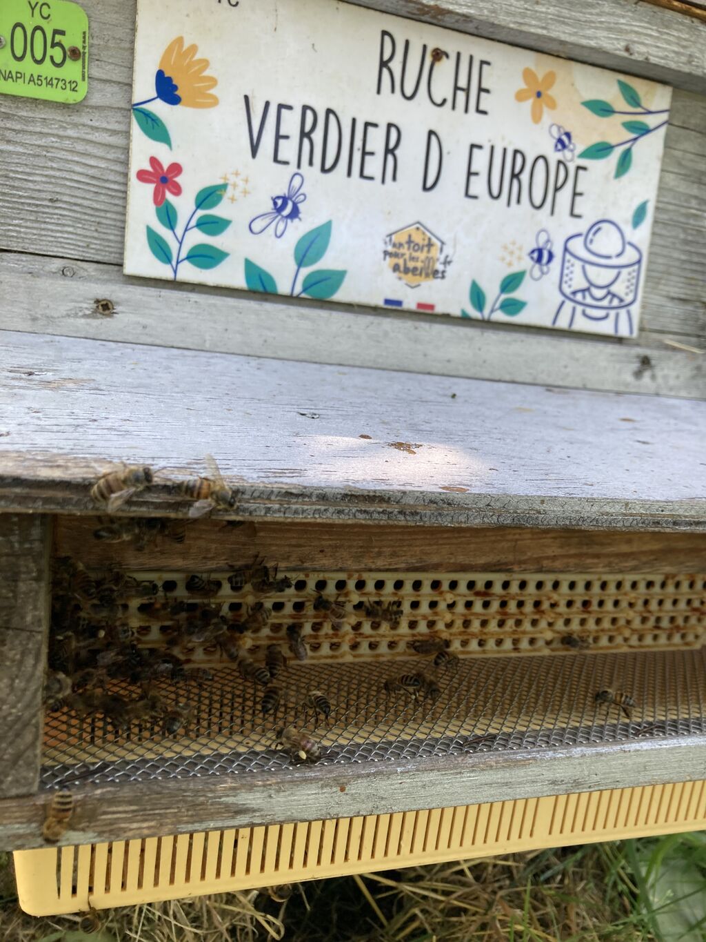 La ruche Verdier d europe