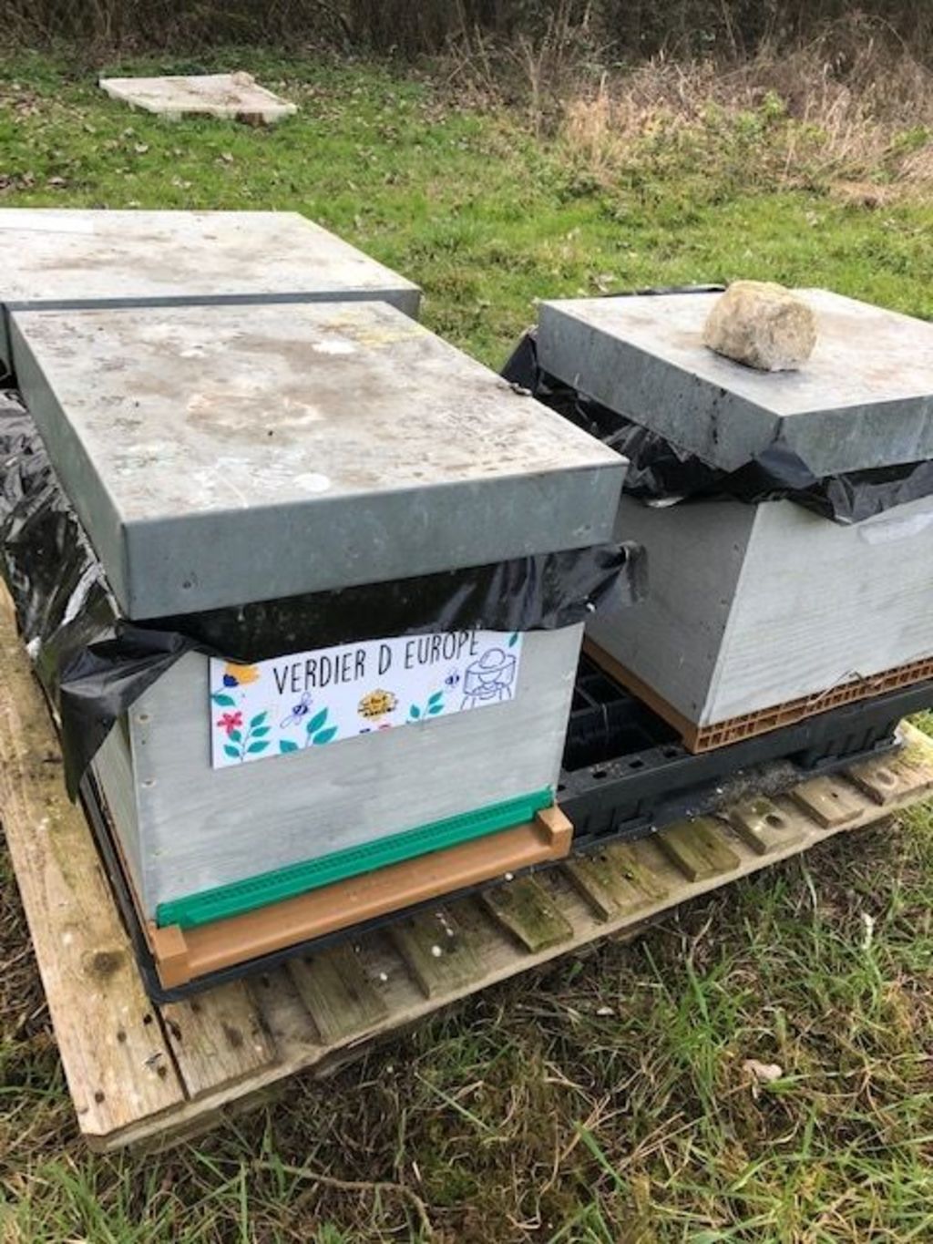 La ruche Verdier d europe