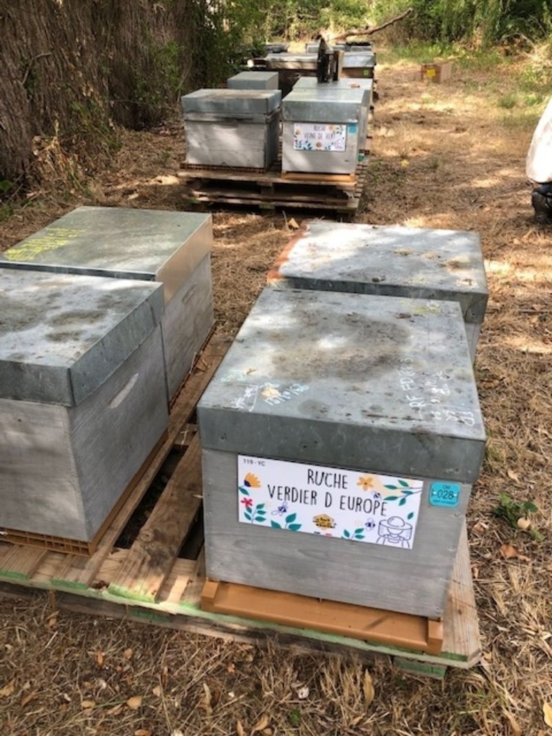 La ruche Verdier d europe