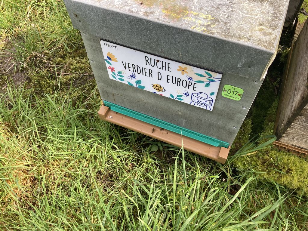 La ruche Verdier d europe