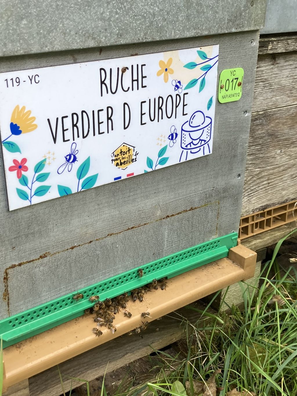 La ruche Verdier d europe