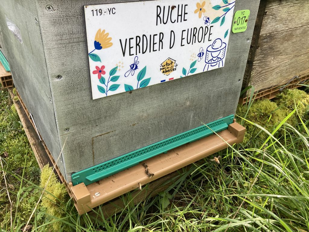 La ruche Verdier d europe