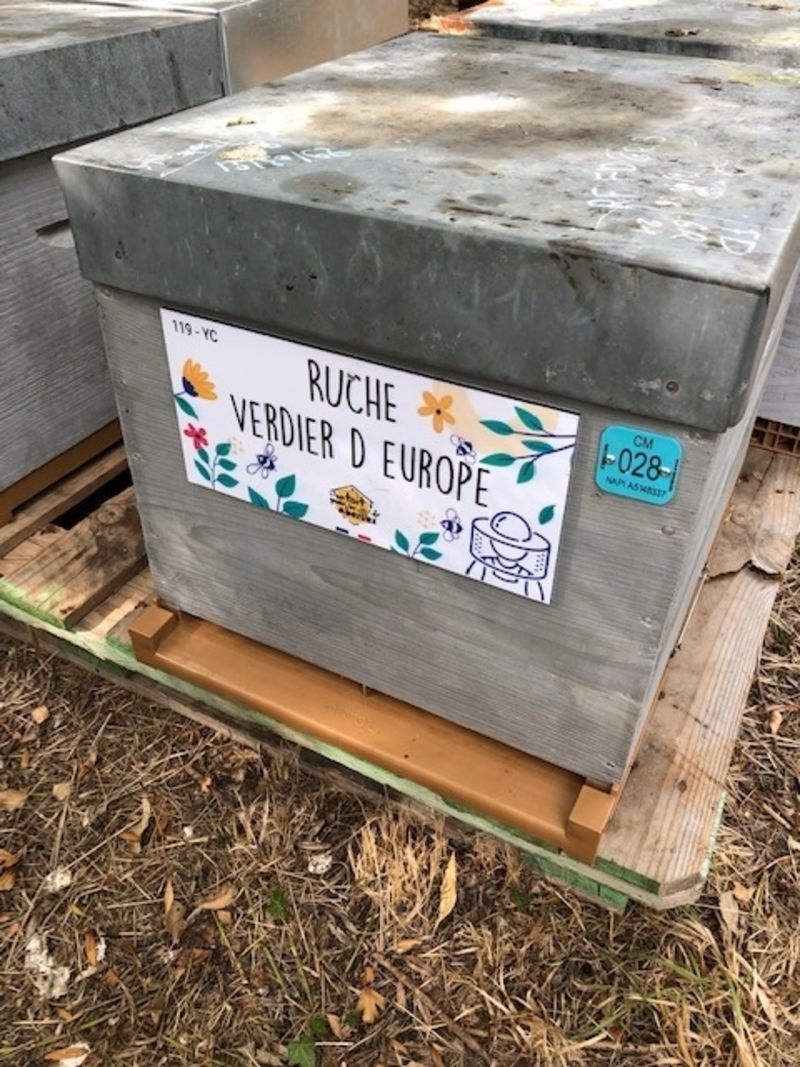 La ruche Verdier d europe