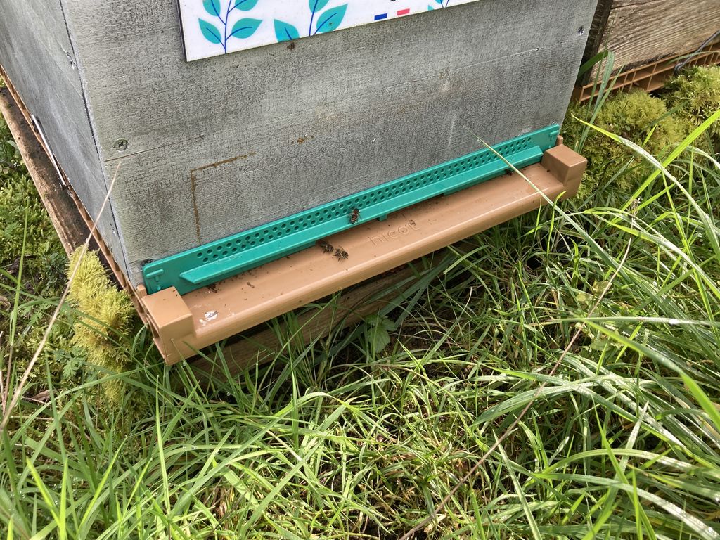 La ruche Verdier d europe