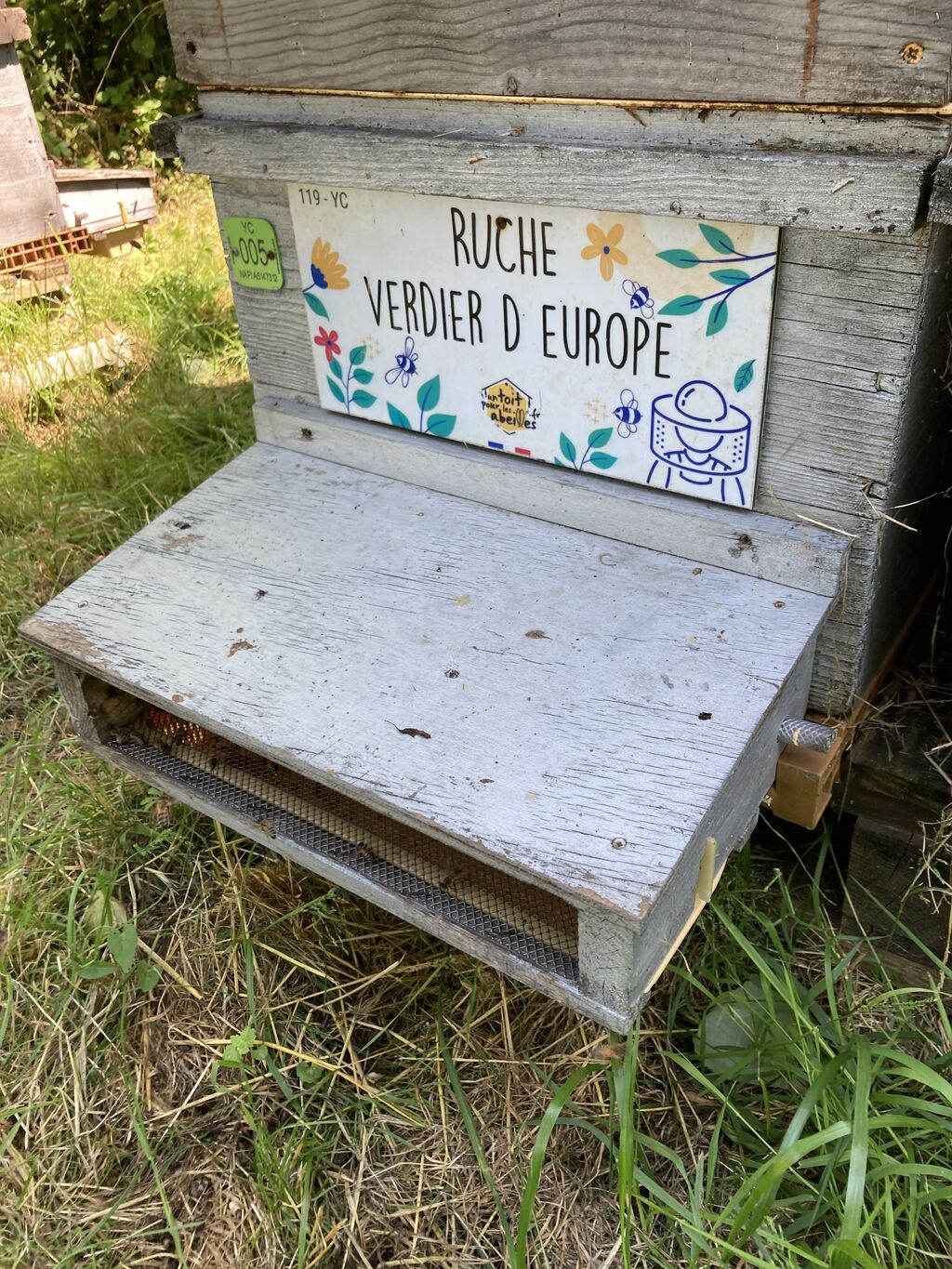 La ruche Verdier d europe
