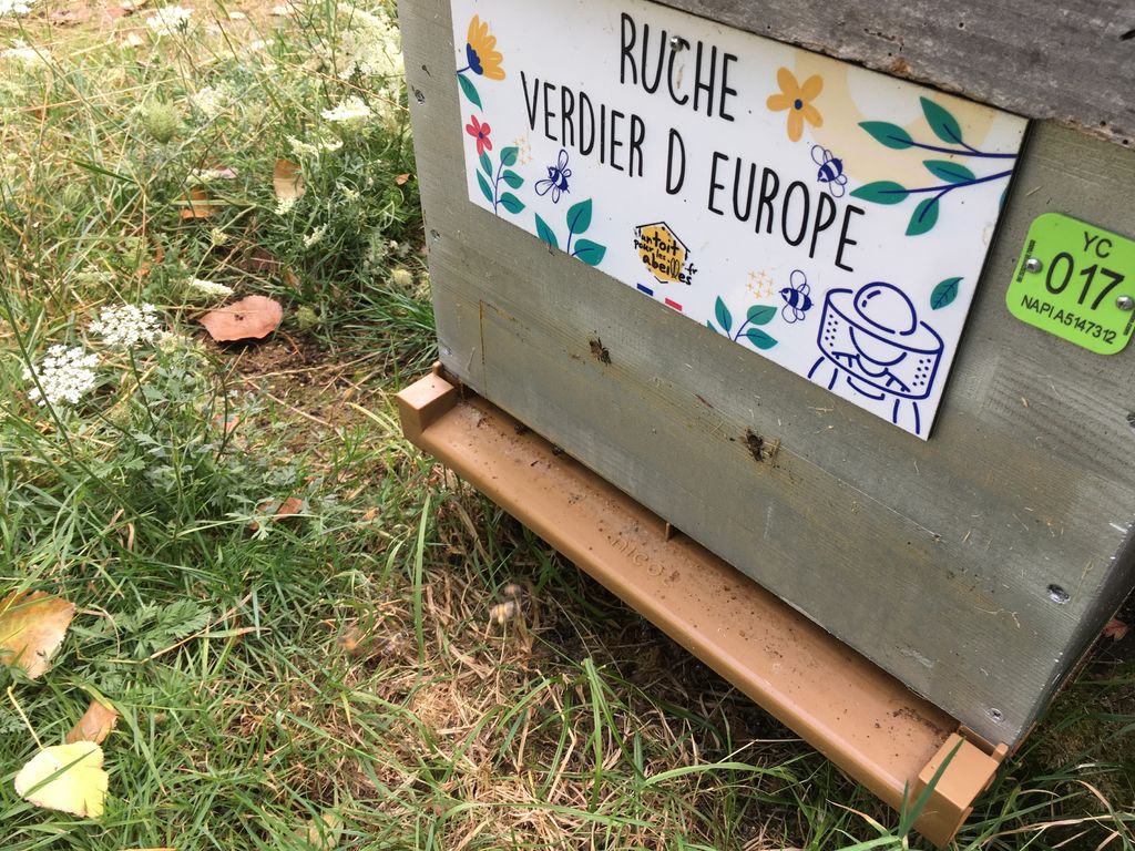 La ruche Verdier d europe