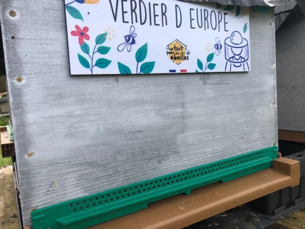 La ruche Verdier d europe