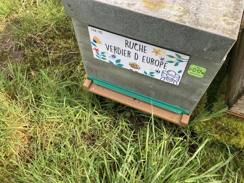 La ruche Verdier d europe
