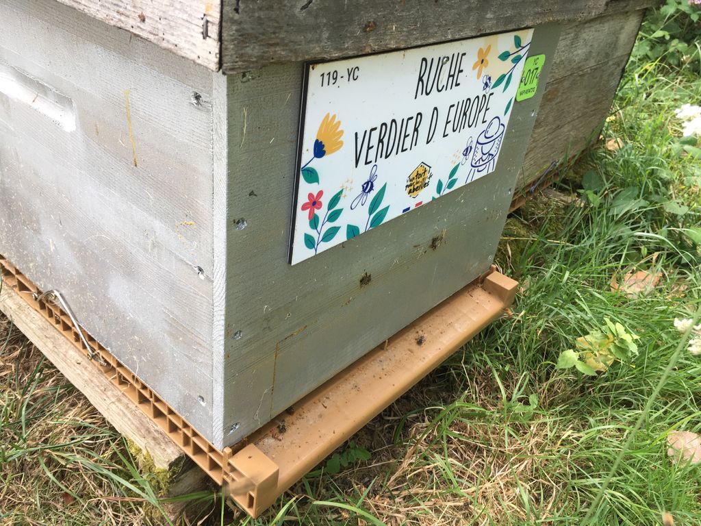 La ruche Verdier d europe