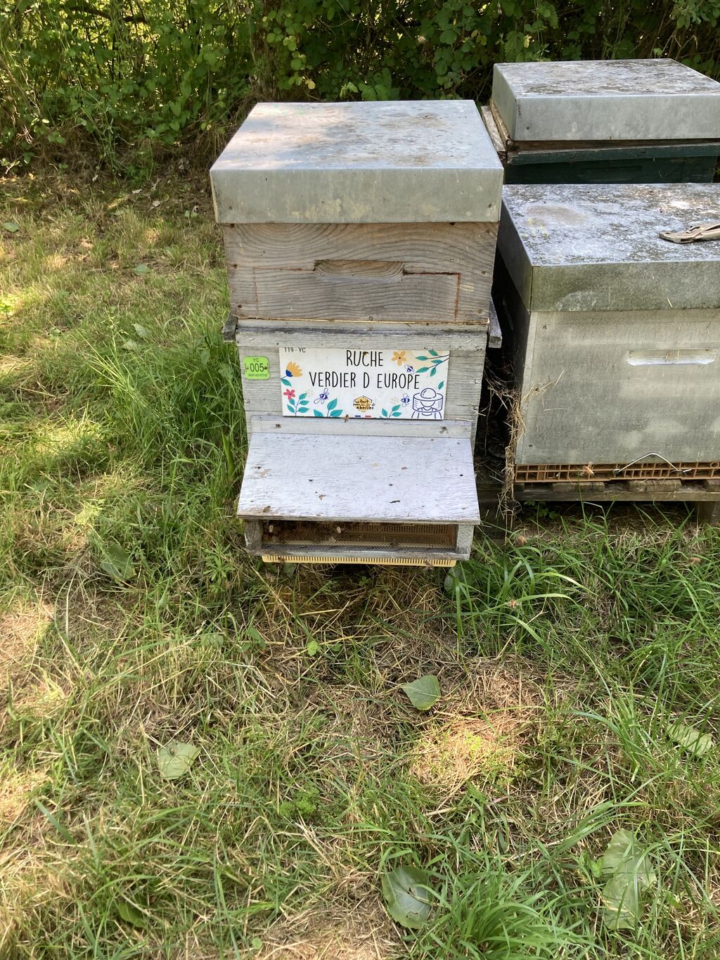 La ruche Verdier d europe