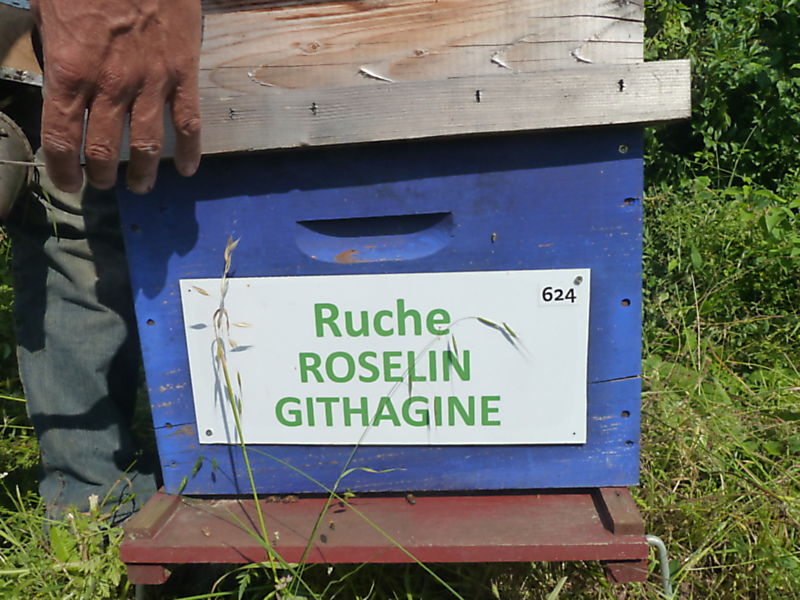 La ruche