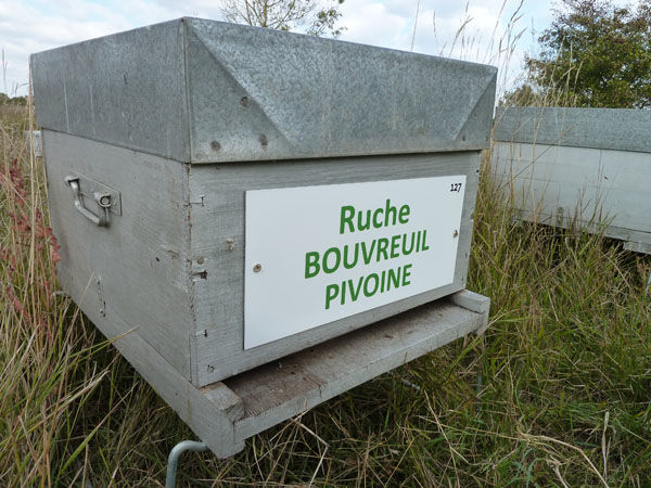La ruche Bouvreuil pivoine