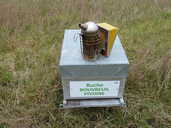 La ruche Bouvreuil pivoine