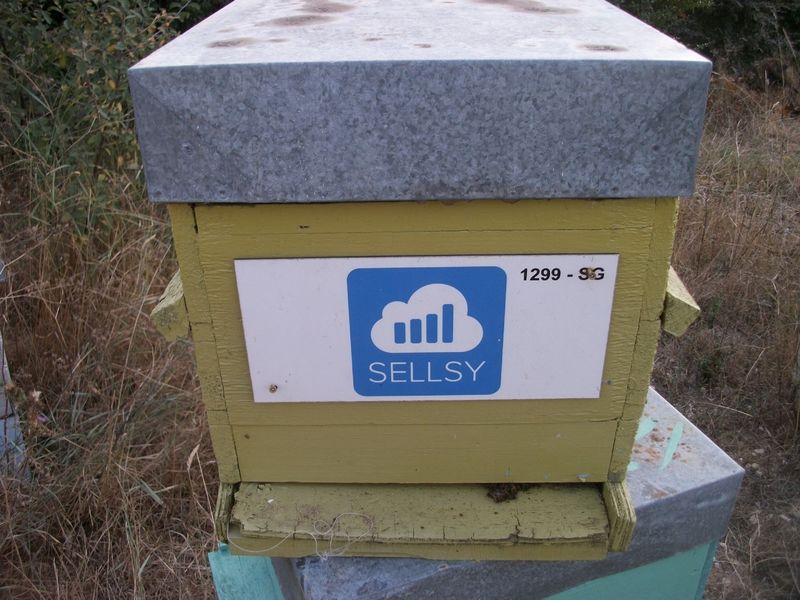 La ruche SELLSY