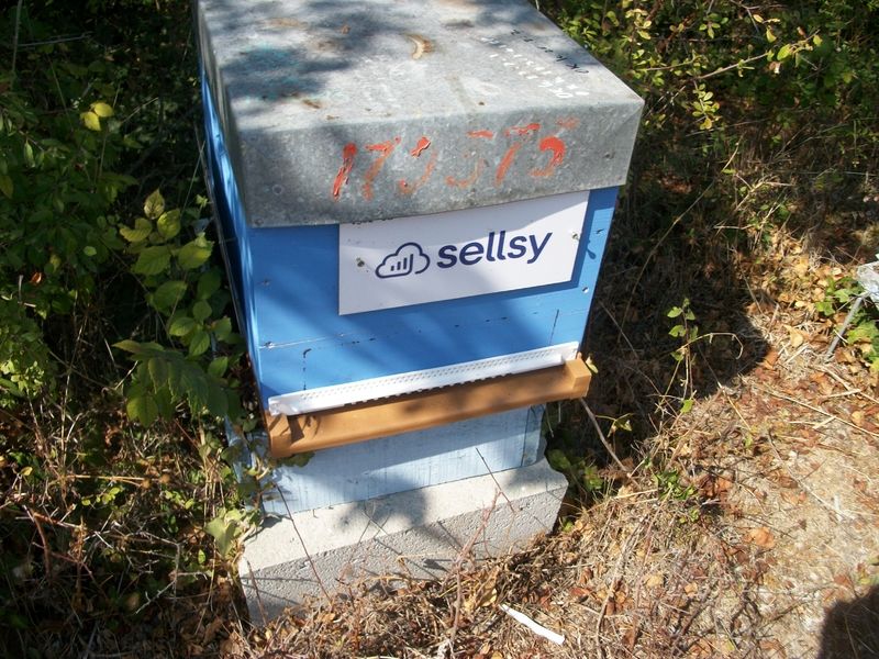 La ruche SELLSY