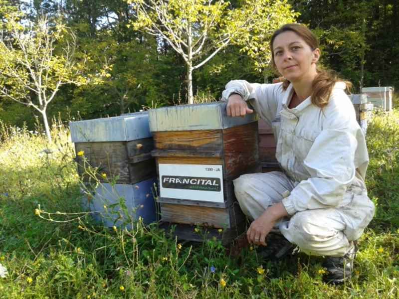 La ruche Francital environnement