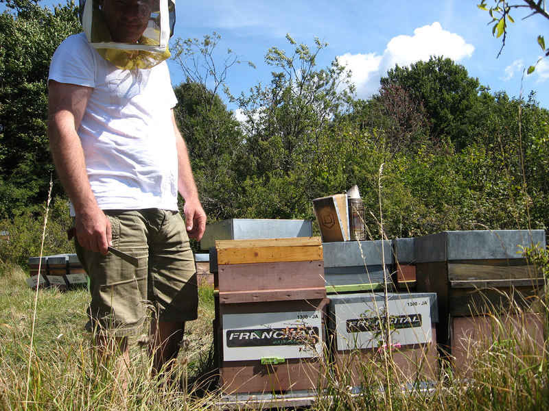 La ruche Francital environnement