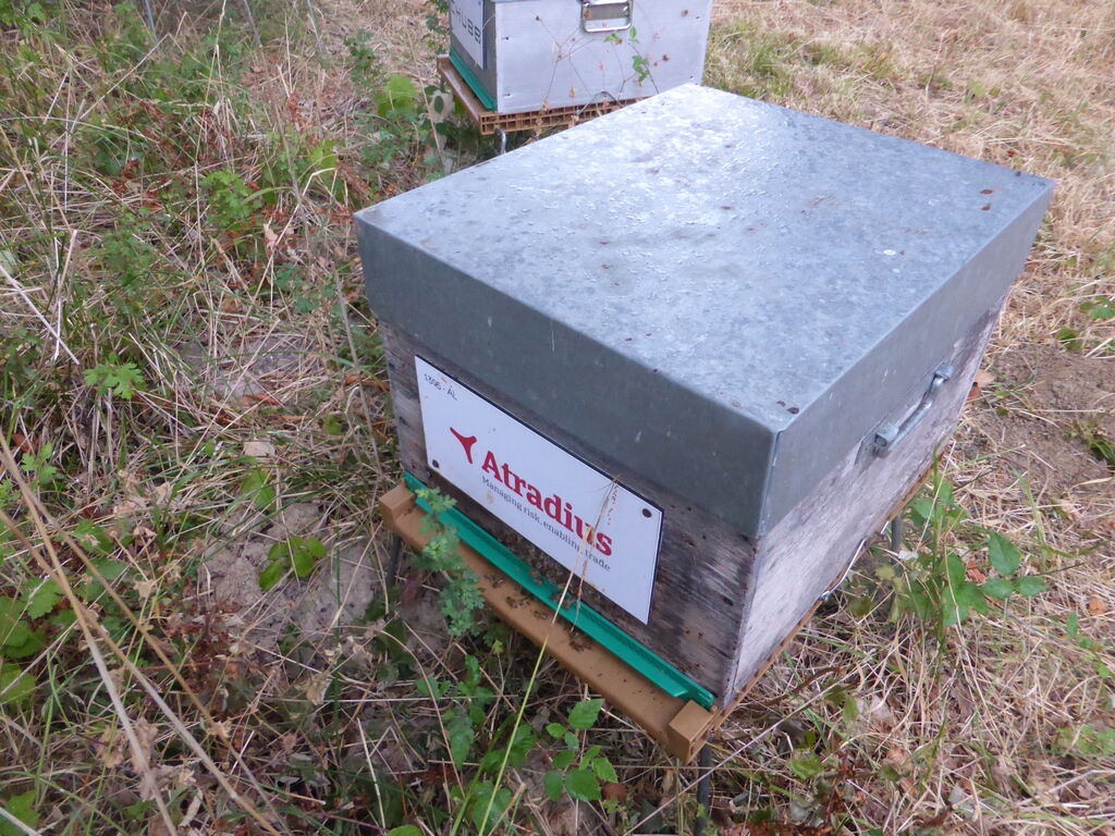 La ruche Atradius Crédito y Caucion SA (Atradius)