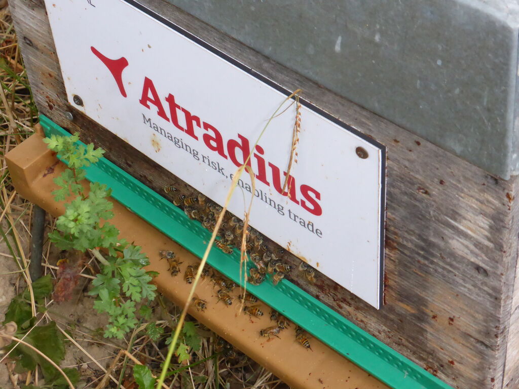 La ruche Atradius Crédito y Caucion SA (Atradius)