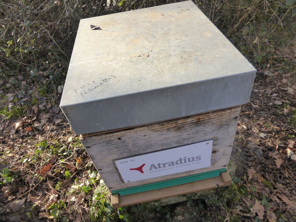 La ruche Atradius Crédito y Caucion SA (Atradius)