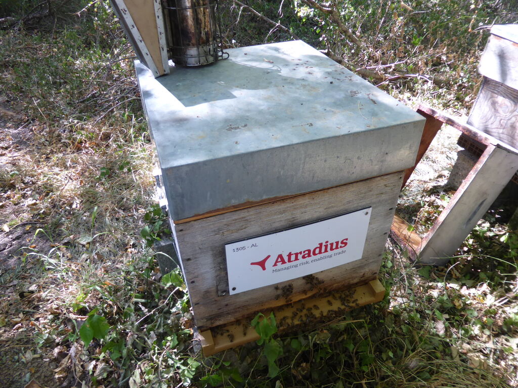 La ruche Atradius Crédito y Caucion SA (Atradius)