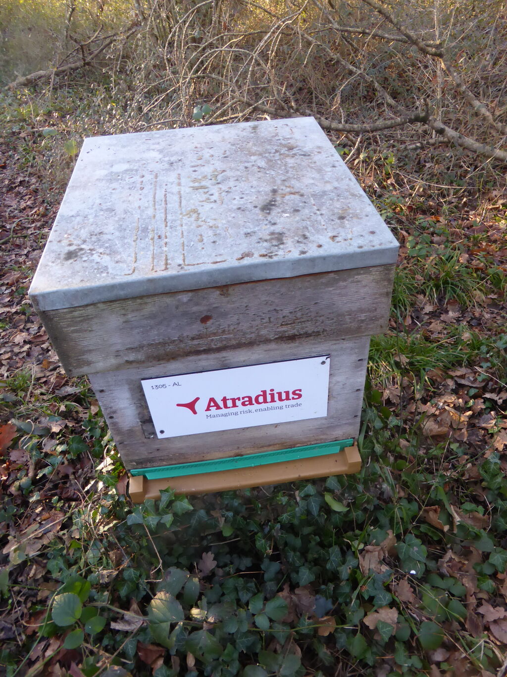 La ruche Atradius Crédito y Caucion SA (Atradius)