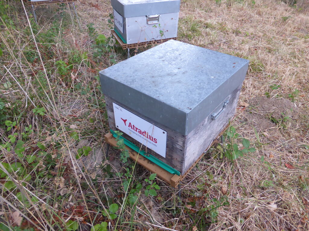 La ruche Atradius Crédito y Caucion SA (Atradius)