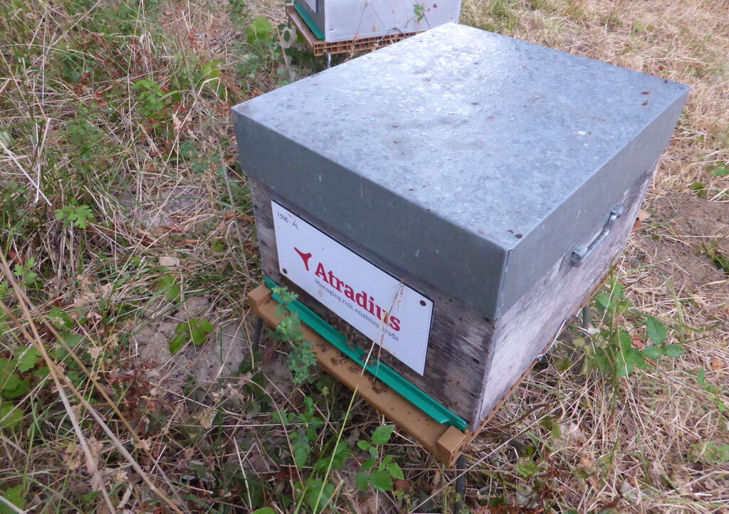 La ruche Atradius Crédito y Caucion SA (Atradius)