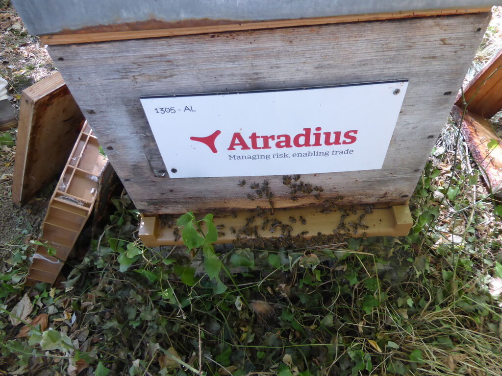 La ruche Atradius Crédito y Caucion SA (Atradius)