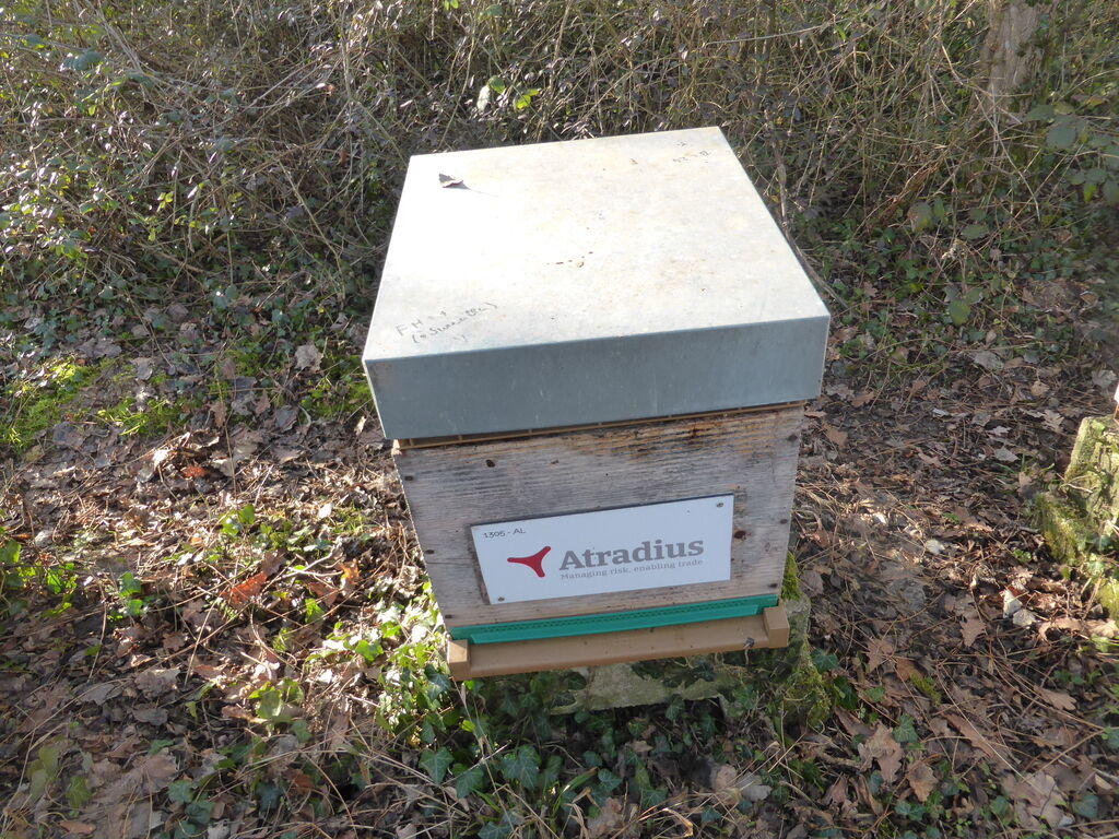 La ruche Atradius Crédito y Caucion SA (Atradius)