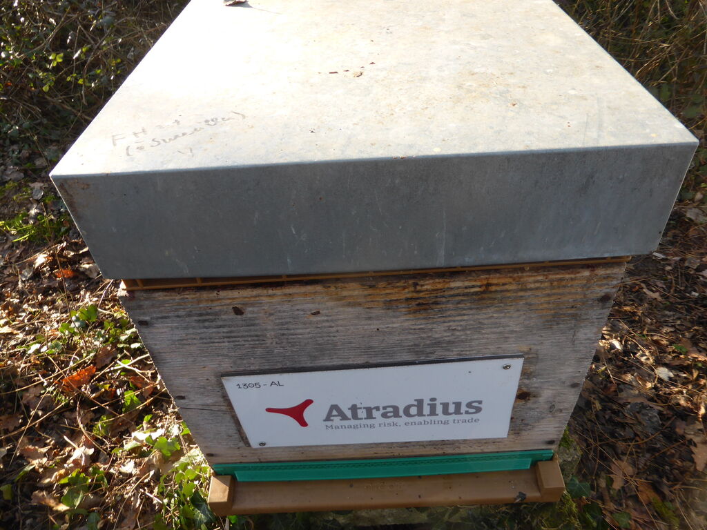 La ruche Atradius Crédito y Caucion SA (Atradius)