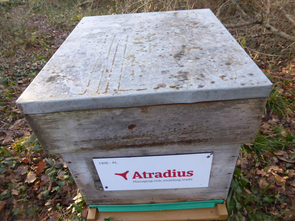 La ruche Atradius Crédito y Caucion SA (Atradius)