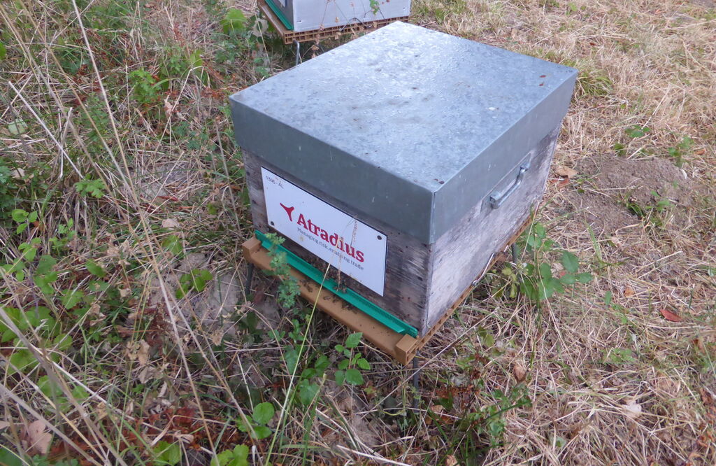 La ruche Atradius Crédito y Caucion SA (Atradius)