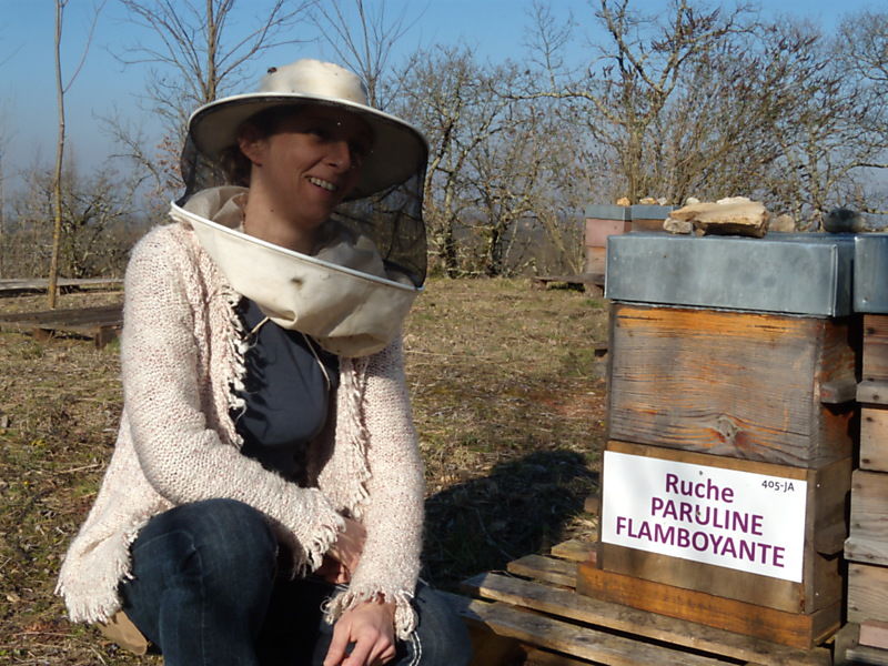 La ruche Paruline flamboyante