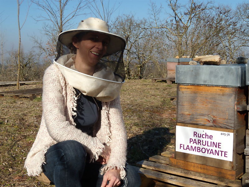 La ruche Paruline flamboyante