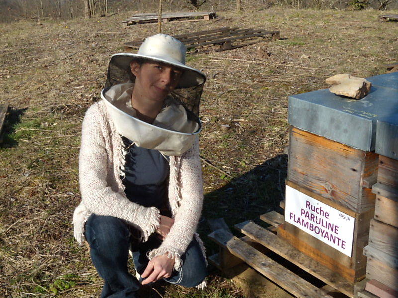 La ruche Paruline flamboyante