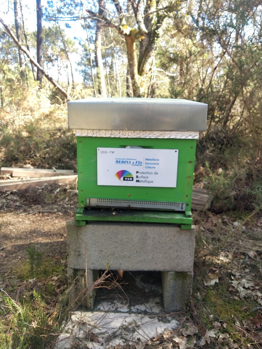 La ruche MEDINA ET FILS